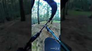 Fresh trail in the loam…  #sendit #downhill...