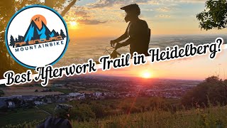 Bester Trail in HEIDELBERG? (7,2km) MTB Enduro
