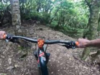 Dig This **BRAND NEW** @ Wainuiomata Trail Park