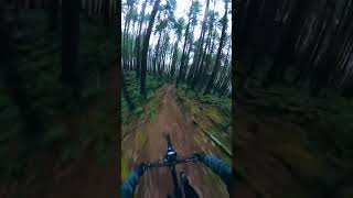 Perfect Dirt on January 1st!       #mountainbike