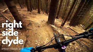 One of the most fun Golfie MTB trails | Right...