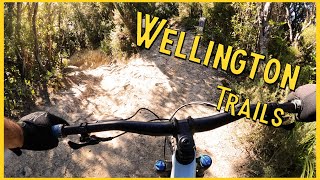 Wellington Trails - 491 Trail - Wainuiomata...