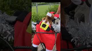 Best Dressed at the Santa MTB Ride