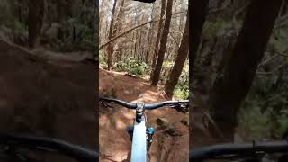 Old Whaki Trail - Grade 4 - Ends in a wipeout