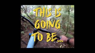 Rutted, Droppy, Tricky MTB Trail, Pure Rotorua...