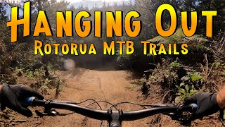 Back to the forest - making friends and...