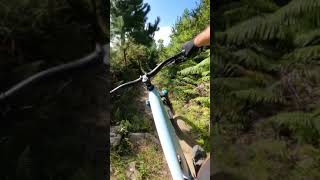 What is this trail called? Shortest MTB trail...