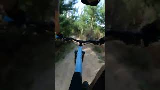 Incredible tecky flow track rotorua mtb