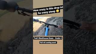 Riding dusty Rotorua Mountain Bike trails....