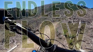 Link these 3 trails for Rotorua's Endless Flow...