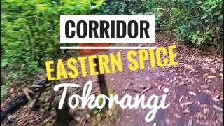 Single Run - Corridor into Eastern Spice into...
