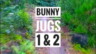 Bunny Jugs 1 & 2 - Why Not?