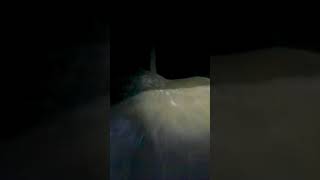 Night Riding - MTB Rotorua