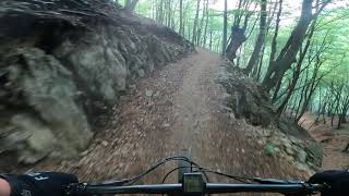 MTB in Ticino single trail Gola di Lago -...