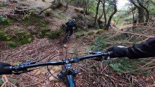 PiNaR JUMPS+ CRASH