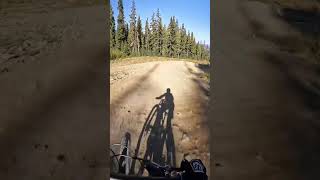 I MISS THE WHISTLER BIKE PARK! #mountainbiking...