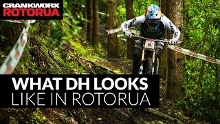 WHAT DH LOOKS LIKE IN ROTORUA
