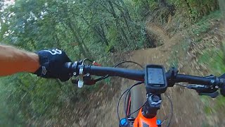 BTT SCF Esparver + Brucs (fins gallines) RAW