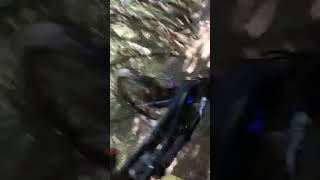MTB Crash, Montalbano sentiero Etrusco