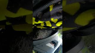 Fall pain  #shorts #fail #mtb #mountainbike #btt