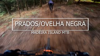 Madeira Island MTB 'PRADOS/OVELHA NEGRA'