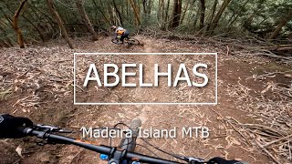 Madeira Island MTB 'ABELHAS'
