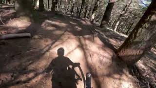 Madeira Island MTB 'RATBOY'