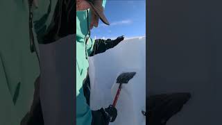 Playing Minecraft while checking for avalanche...