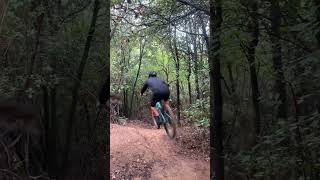 GENiAL ‼️#downhill #enduromtb #mtb...