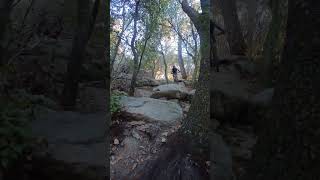 ROCK GARDEN ‼️ #downhill #enduro #mtb...
