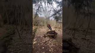 MTBing on the enduro - the best way to have...