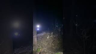 Looking for vampires ‍♂️ #nightride...
