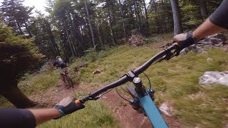 Mountain Biking Slovenia - Krim in 4K July 2017