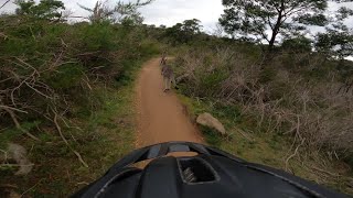 You Yangs Track 14, Junction from Stockyards -...