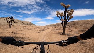 Las Vegas MTB | Cottonwood Valley | Blue...