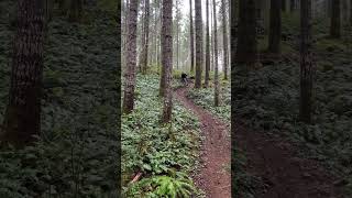 Day 6 of Riding Everyday For a Year!