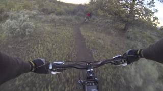 Down Ratcamp