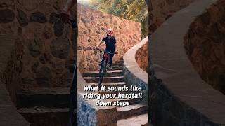 The sound of a hardtail going down steps  #mtb