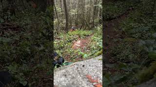 Trail building time-lapse #mountainbiking #mtb...