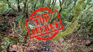 We rode a SECRET TRAIL in Madeira Island