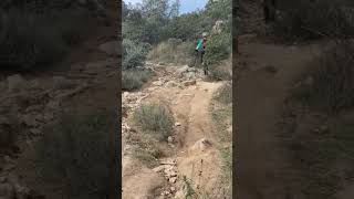Trialera muy cañera  #mtb #mountainbike...