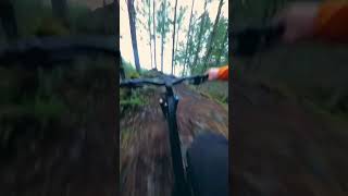 Rocky Slip & Slide!