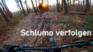 Let's Ride MTB - Heidelberg // Königstuhl -...