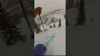 More than a feeling at Whistler in the powder...