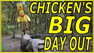 Chicken’s Big Day Out!