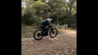 Hopper Coach for Xmas - See the fun! #Shorts