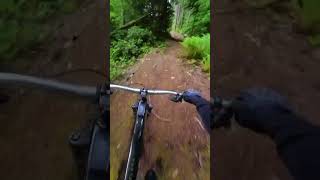 this POV will make you want to ride an Ebike 