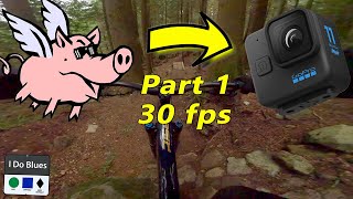 GoPro HERO11 Black Mini: 30 FPS