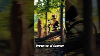 Dreaming of summer • #mtb