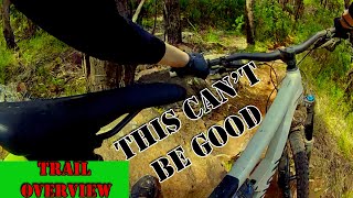Will My Canyon Spectral Survive Loam Express!